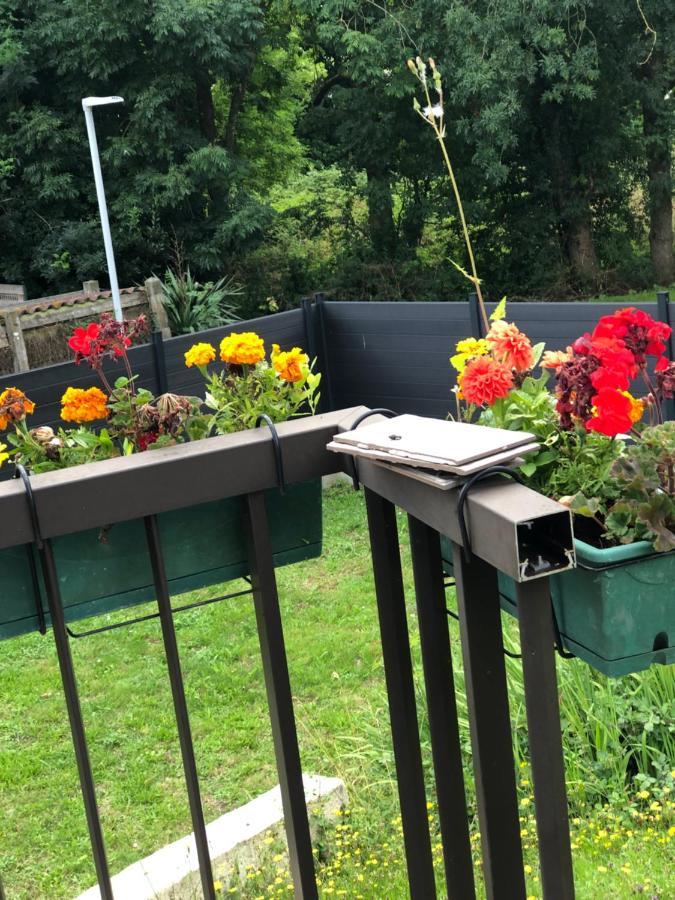 Donnant Sur Jardin Avec Terrasse. La Roche-sur-Yon